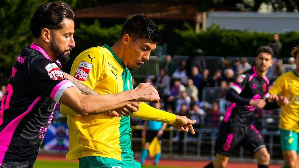 Liga 2: Paulo Alves estreia-se no Mafra com um empate