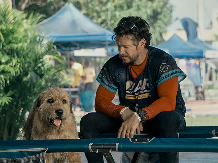 Lançamentos de abril de 2024 para assistir nos cinemas