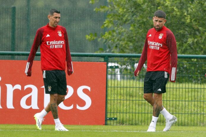 Scaloni fala de Otamendi e Di María: «Estão num grande momento»