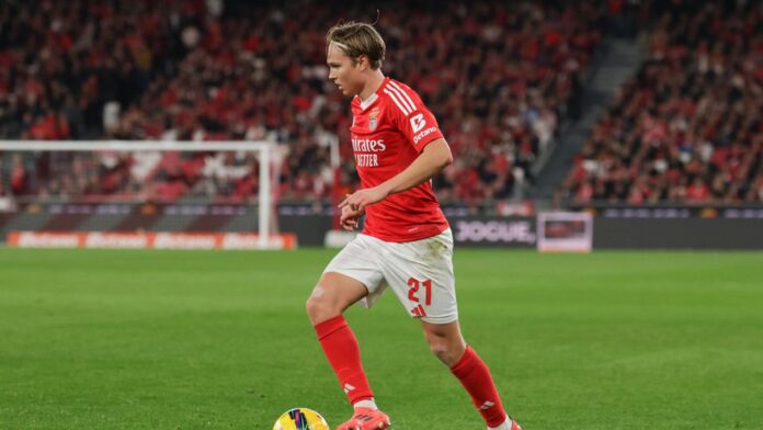 Andreas Schjelderup em ação com a camisola do Benfica