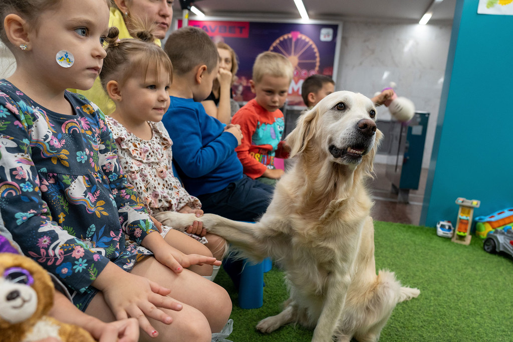 Representantes convidam governos, sociedade civil e organismos internacionais para trabalhar por um futuro sustentável e saudável para crianças