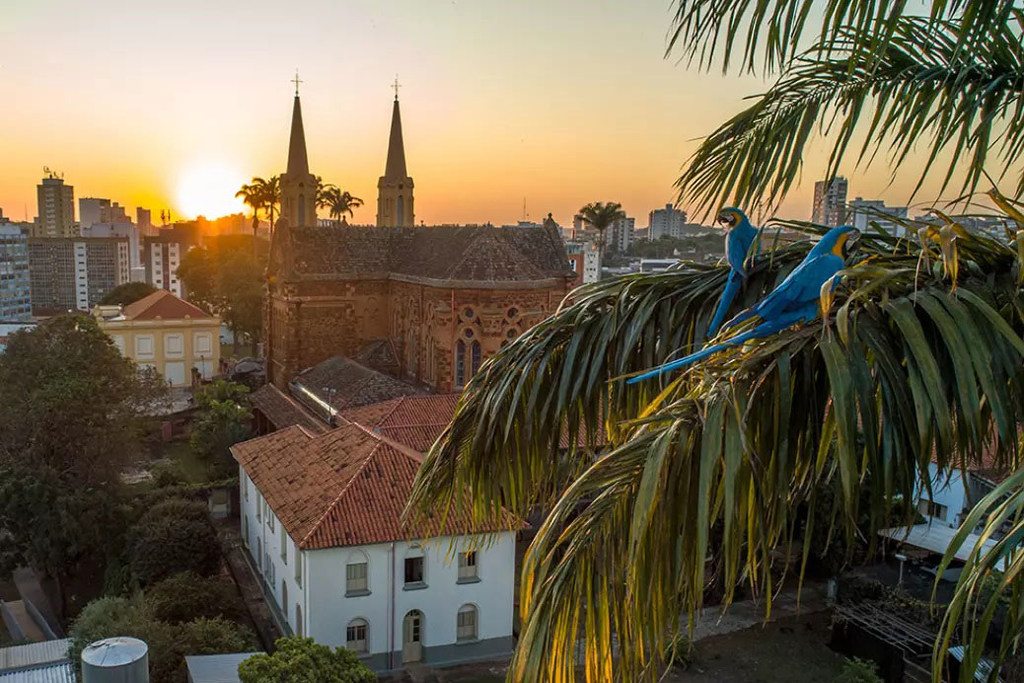 Unesco fala de pioneirismo dos agricultores de Uberaba que introduziram a raça bovina Zebu no final do século 21 Unesco fala de pioneirismo dos agricultores de Uberaba que introduziram a raça bovina Zebu no final do século 21