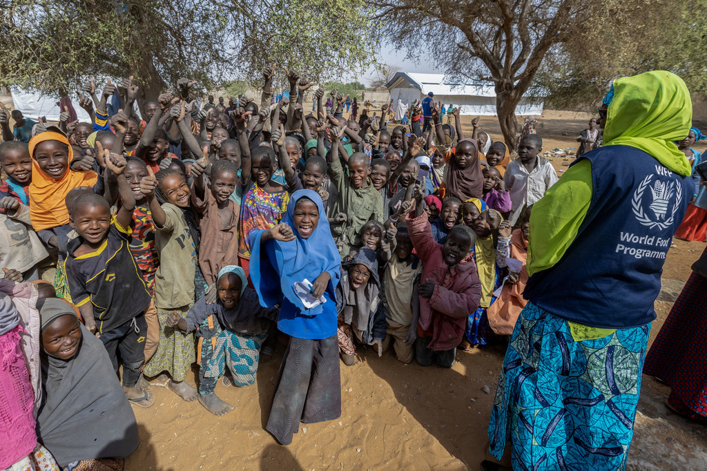 Estima-se que um total de 4,8 milhões de pessoas chegaram recentemente ao Sahel Estima-se que um total de 4,8 milhões de pessoas chegaram recentemente ao Sahel