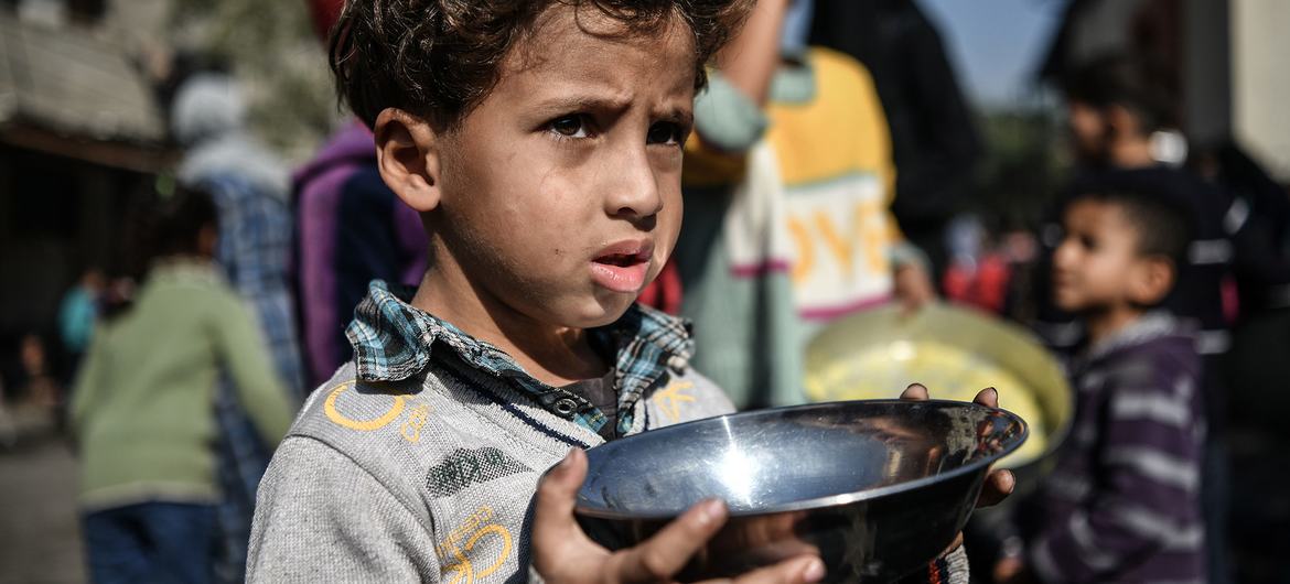 Os alimentos continuam a ser escassos em toda a Faixa de Gaza.