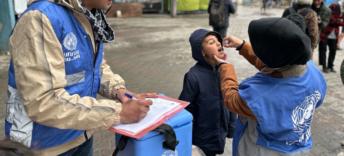 A Unrwa e seus parceiros implementam uma campanha de vacinação em grande escala contra a poliomielite em Gaza para alcançar quase 600 mil crianças com menos de 10 anos de idade em toda a Faixa de Gaza A Unrwa e seus parceiros implementam uma campanha de vacinação em grande escala contra a poliomielite em Gaza para alcançar quase 600 mil crianças com menos de 10 anos de idade em toda a Faixa de Gaza