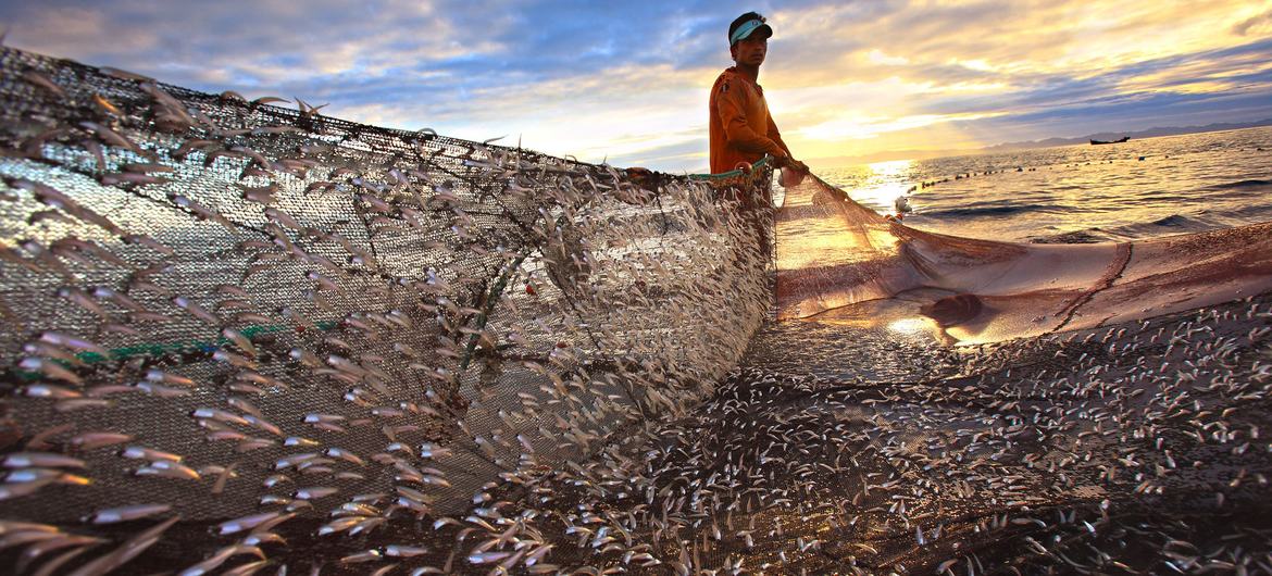 Um homem pesca na Ilha de Saint Martin, Bangladesh, na Baía de Bengala