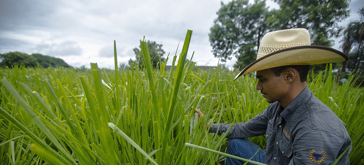 Agricultura sustentável em Goiás, Brasil