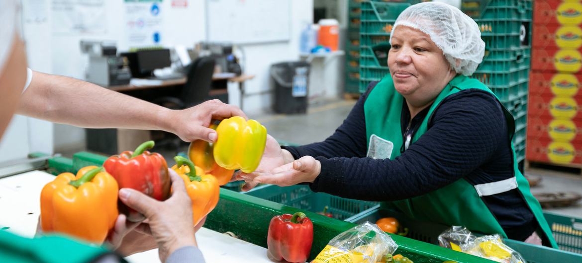 Uma mulher separa pimentas em uma fábrica em Poncitlan, México. FMI divulgou uma análise sobre o futuro do setor laboral na América Latina em frente à crescente influência da inteligência artificial