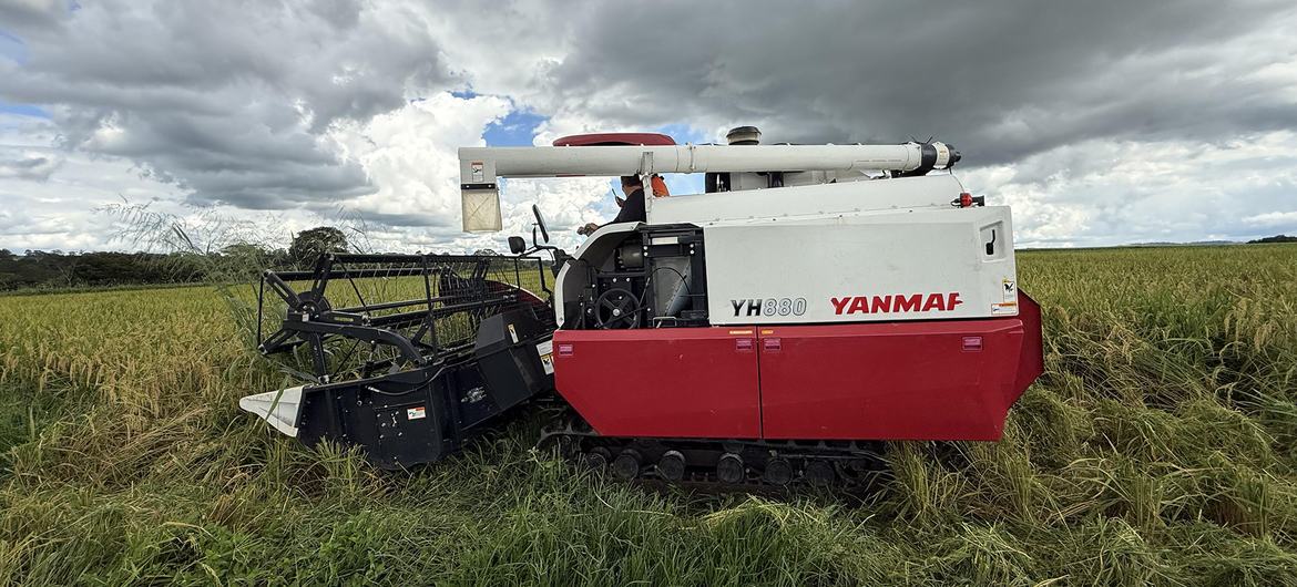O setor agroalimentar é formado por agricultura, agroindústria e serviços, e contribui com aproximadamente 22% do PIB brasileiro