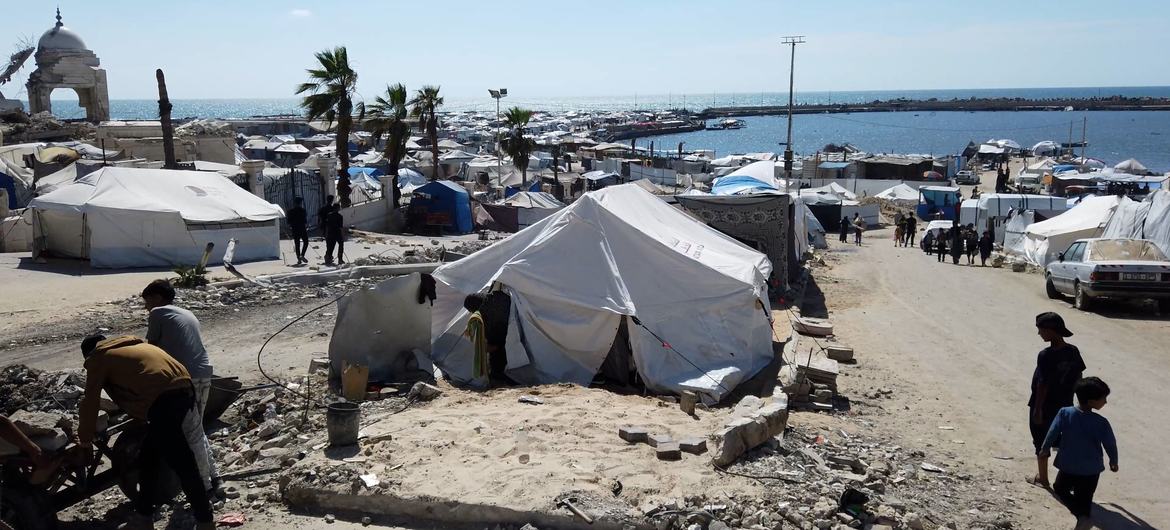 Tendas de palestinos deslocados no porto de Gaza Tendas de palestinos deslocados no porto de Gaza