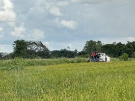Imposto sobre a Propriedade Territorial Rural (ITR) atualmente arrecada o equivalente a apenas 0,03% do PIB brasileiro