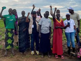 Uma cooperativa de mulheres agricultoras no Sudão do Sul recebeu formação em produção de sementes pela FAO