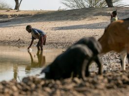 Desde o início deste ano, Angola está atravessando surtos de cólera graves