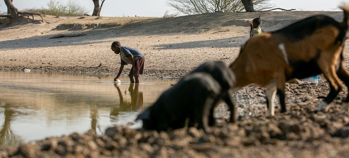 Desde o início deste ano, Angola está atravessando surtos de cólera graves