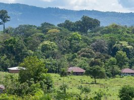 Colombia