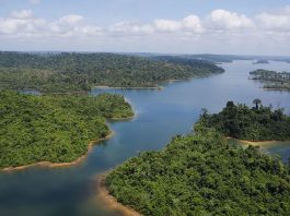 Operação integra a terceira fase do Programa Paisagens Sustentáveis da Amazônia, ASL, que reúne Brasil e outros seis países da região