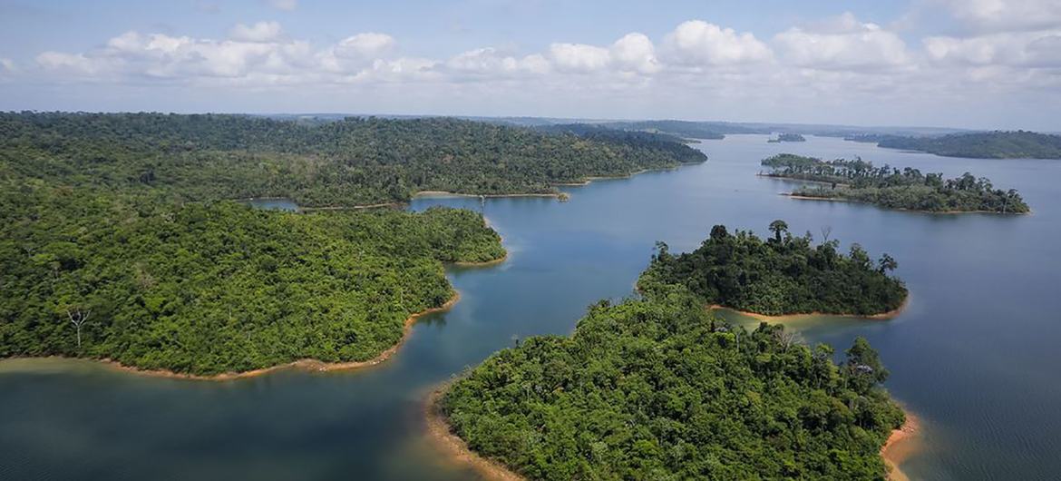 Operação integra a terceira fase do Programa Paisagens Sustentáveis da Amazônia, ASL, que reúne Brasil e outros seis países da região