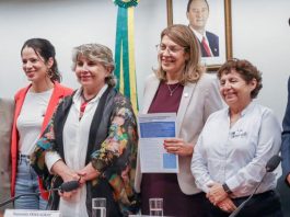 Durante uma audiência pública na Câmara dos Deputados, no Brasil, representantes da sociedade civil pediram estratégias para ampliar o acesso a medicamentos injetáveis ​​inovadores contra o HIV/Aids