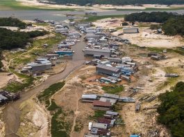 Novo relatório do Banco Mundial destaca os principais desafios enfrentados pelos povos indígenas na Amazônia brasileira