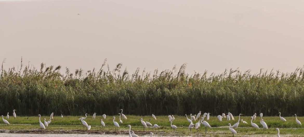 Aposta no turismo sustentável e resiliente promove o avanço econômico Aposta no turismo sustentável e resiliente promove o avanço econômico