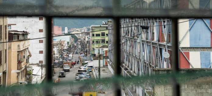 media:entermedia_image:11ca6ae2-53c8-49e3-a817-b2d39143dde1