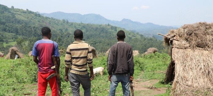 media:entermedia_image:5b059bd4-6533-4ddb-9647-105f904872ca