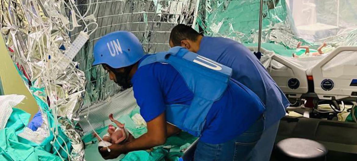 OMS liderou em 19 de novembro uma segunda missão da ONU ao Hospital Al-Shifa em Gaza. 31 bebês foram evacuados, juntamente com 6 profissionais de saúde e 10 familiares da equipe. OMS liderou em 19 de novembro uma segunda missão da ONU ao Hospital Al-Shifa em Gaza. 31 bebês foram evacuados, juntamente com 6 profissionais de saúde e 10 familiares da equipe.