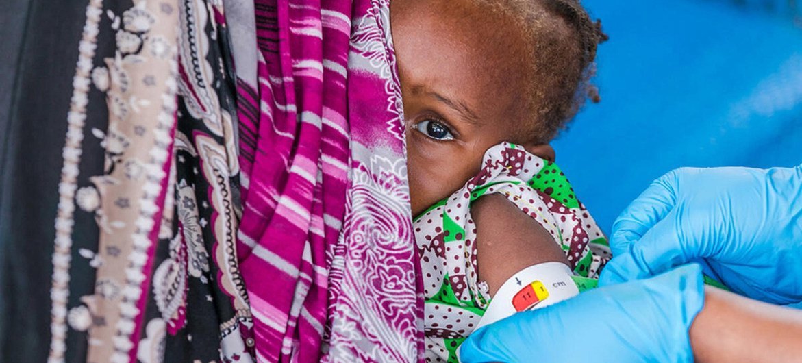 O PMA está ampliando o apoio alimentar e nutricional às pessoas afetadas pela COVID-19 nos estados de Borno, Adamawa e Yobe O PMA está ampliando o apoio alimentar e nutricional às pessoas afetadas pela COVID-19 nos estados de Borno, Adamawa e Yobe