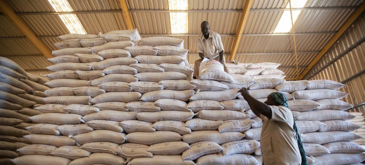 Fundos para o plano de resposta humanitária continuam baixos e insuficientes