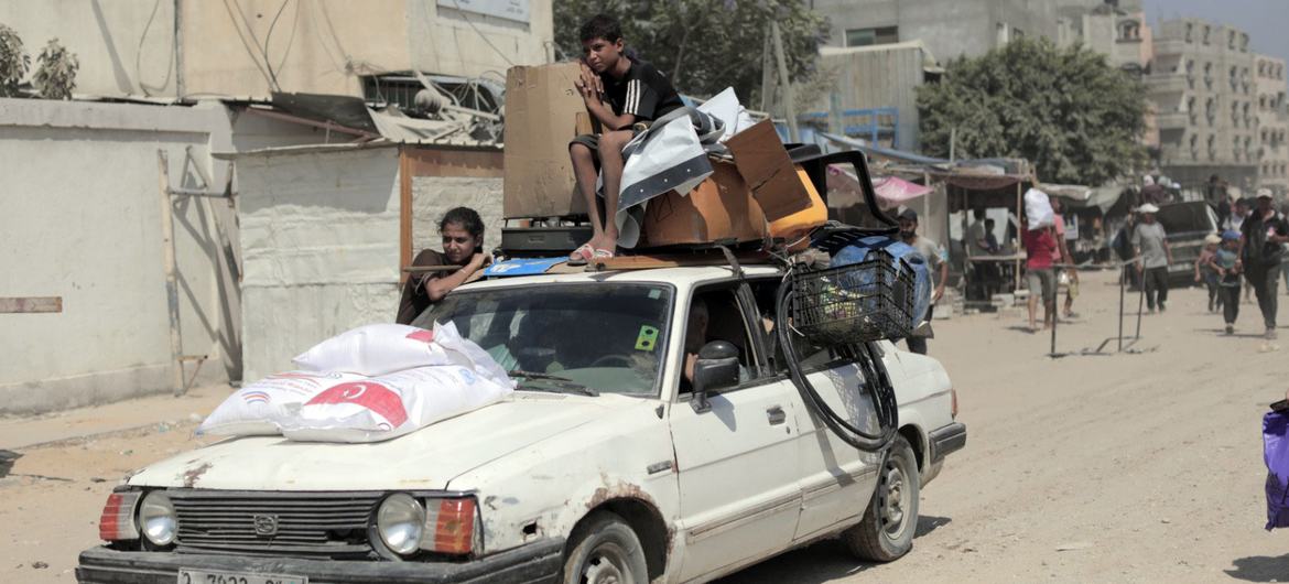Famílias em Gaza continuam a procurar locais mais seguros para se abrigar Famílias em Gaza continuam a procurar locais mais seguros para se abrigar