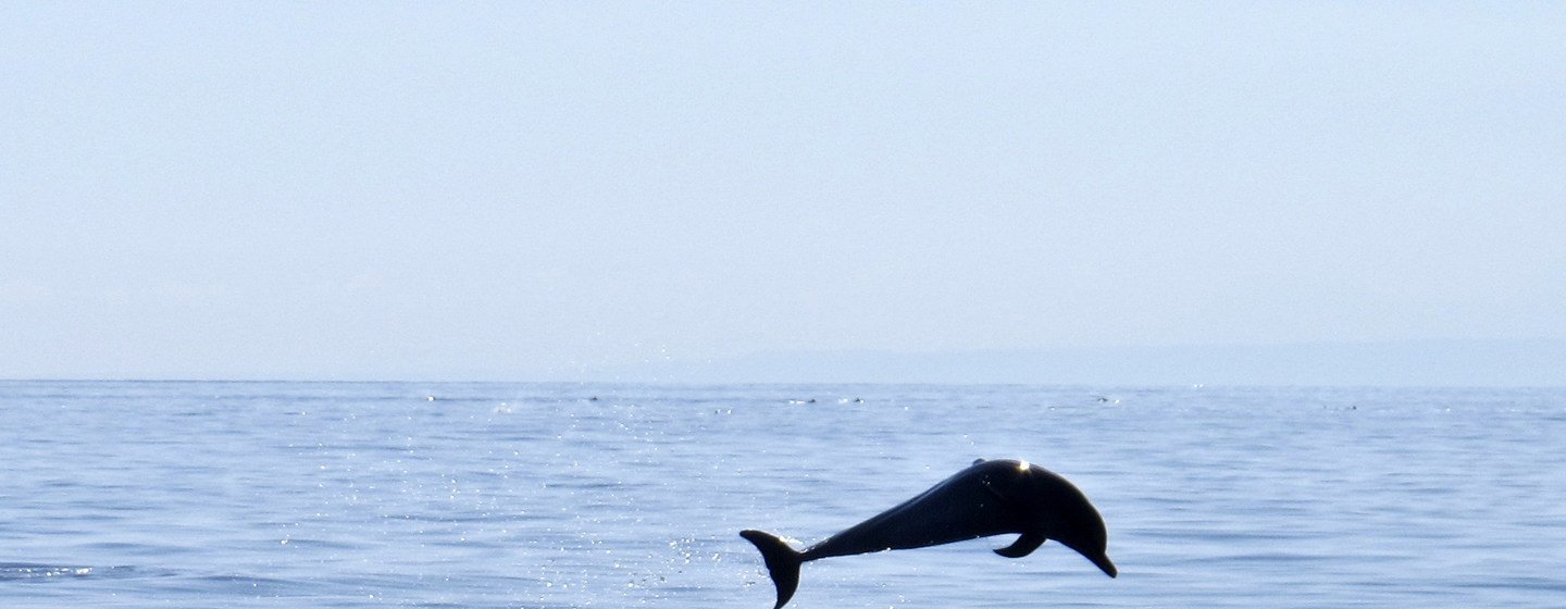 FMI recomenda uma maior eficiência e prudência no gasto das reservas timorenses
