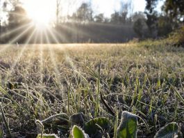Onda de frio também danificou plantações sensíveis em vales agrícolas