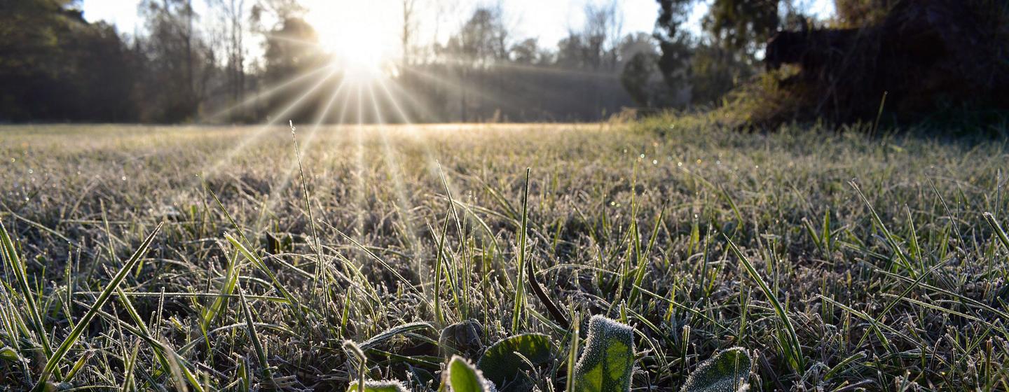 Onda de frio também danificou plantações sensíveis em vales agrícolas