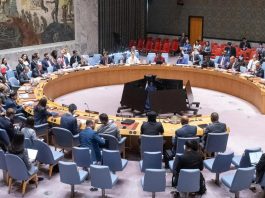 Secretário-geral da ONU defende que o Conselho adote medidas como um embargo de armas eficaz