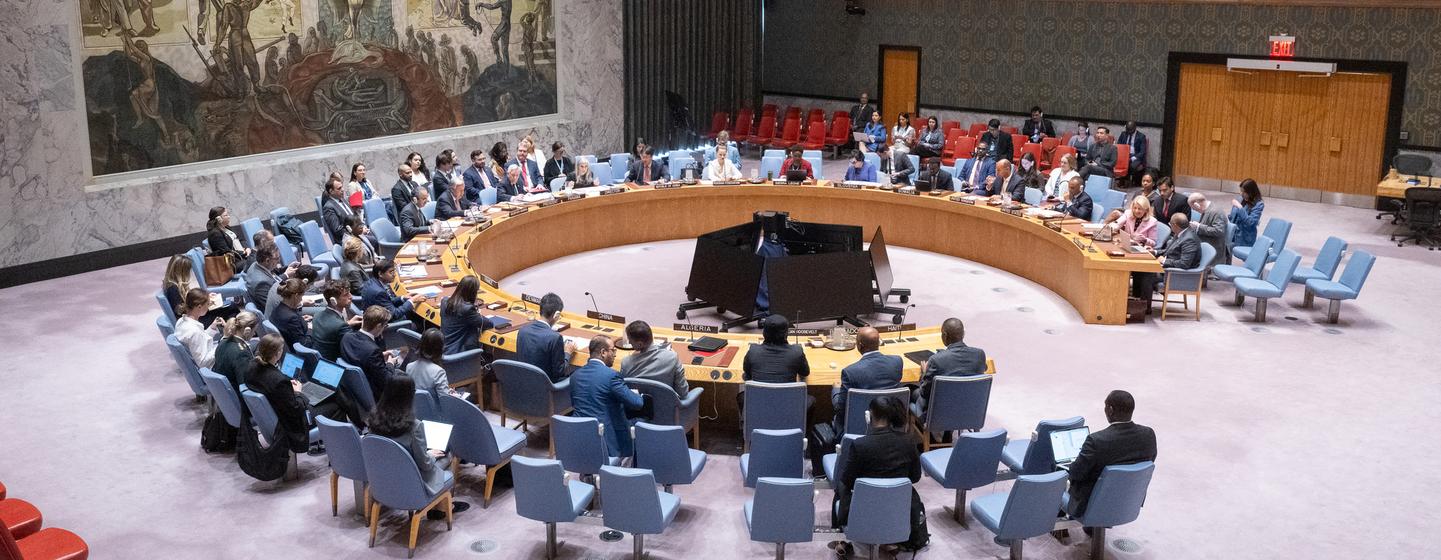 Secretário-geral da ONU defende que o Conselho adote medidas como um embargo de armas eficaz