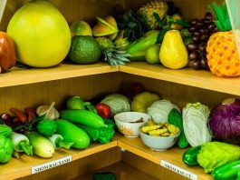 Entre 2017 e 2024, os países de baixa renda registraram a maior alta acumulada no custo de uma dieta saudável
