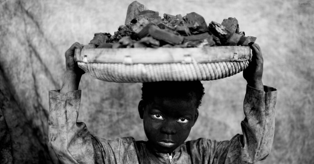 maria-macilau-1024x536-1