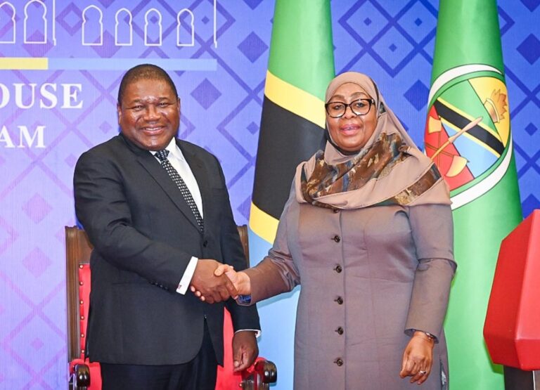 PR DE VISTA À TANZANIA: Usar recursos energéticos para dinamizar economias