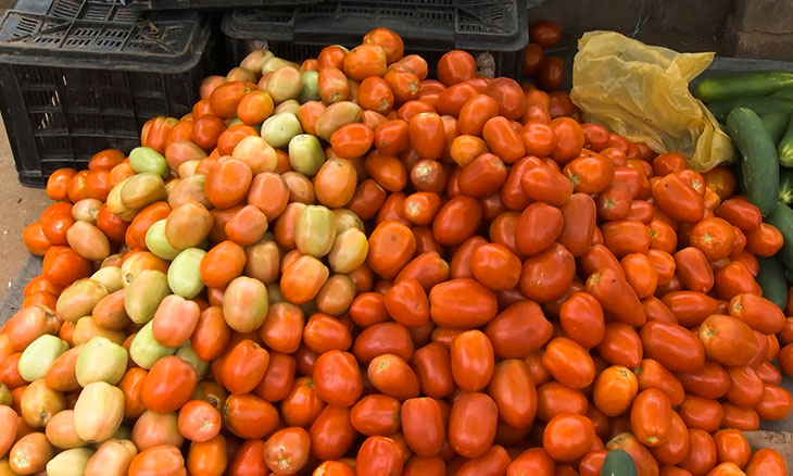 tomate